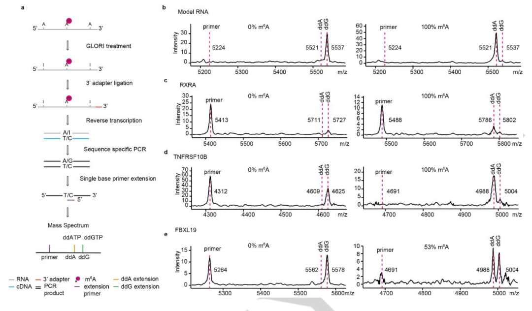意大利贵宾会(中国区)官方网站入口