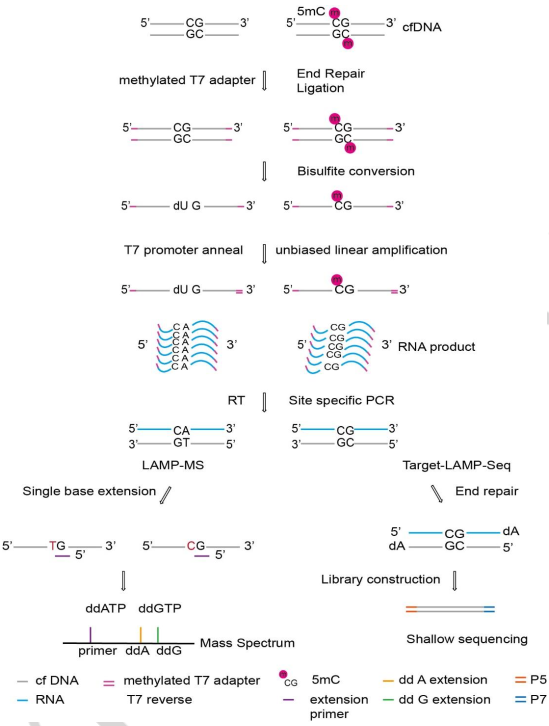 意大利贵宾会(中国区)官方网站入口