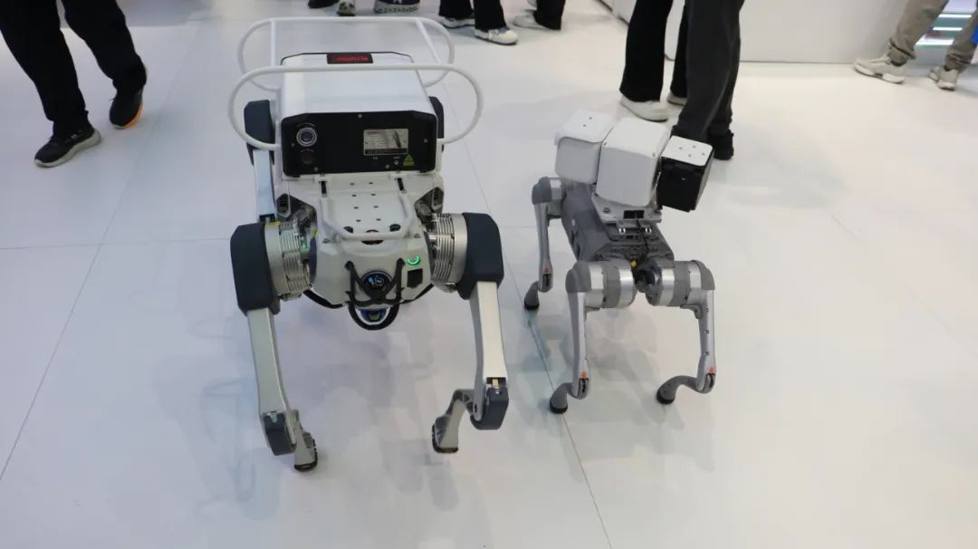 意大利贵宾会(中国区)官方网站入口