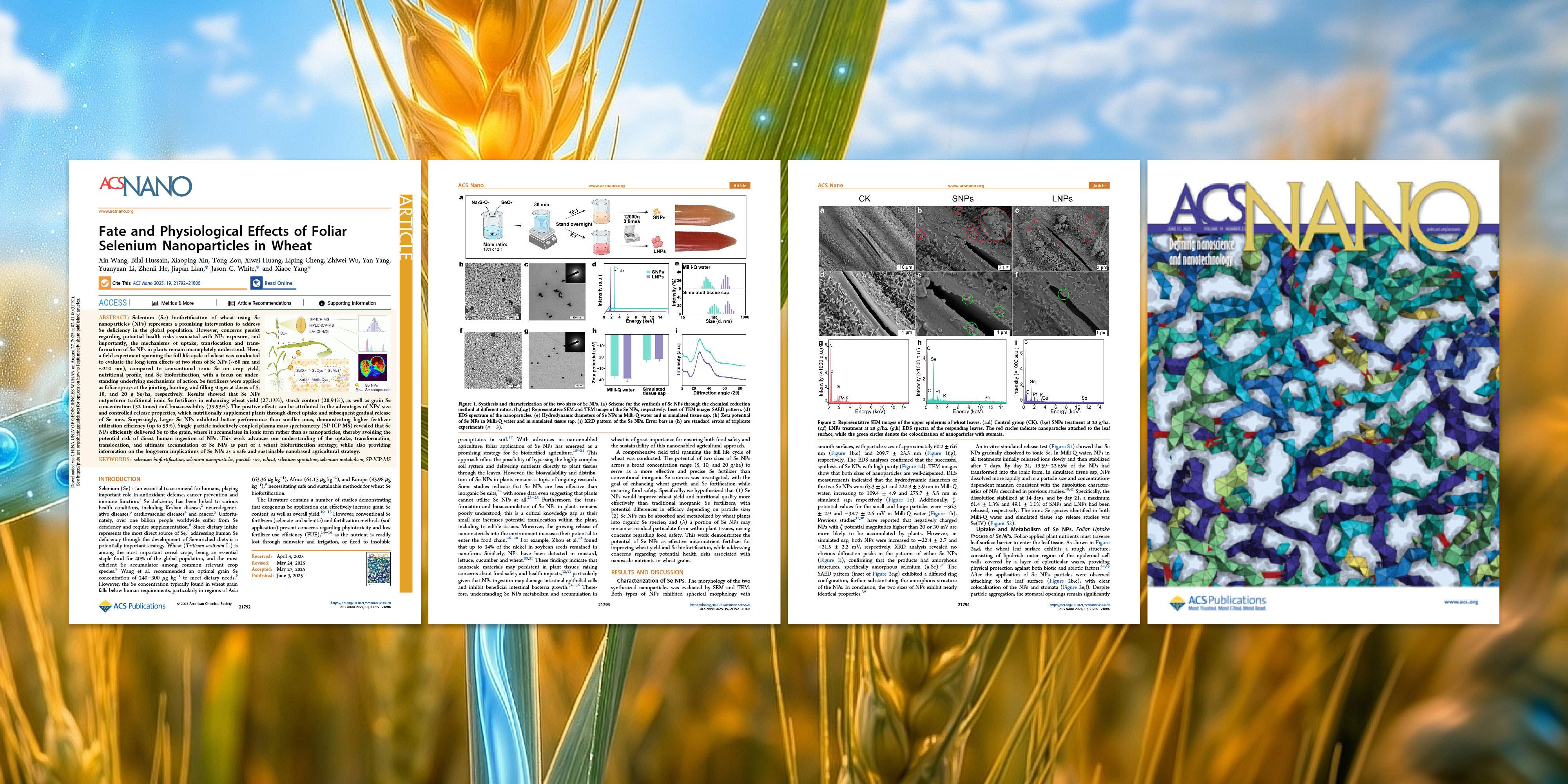 意大利贵宾会(中国区)官方网站入口